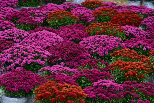 Wie kann man den Wasserverbrauch beim Hausbau reduzieren?